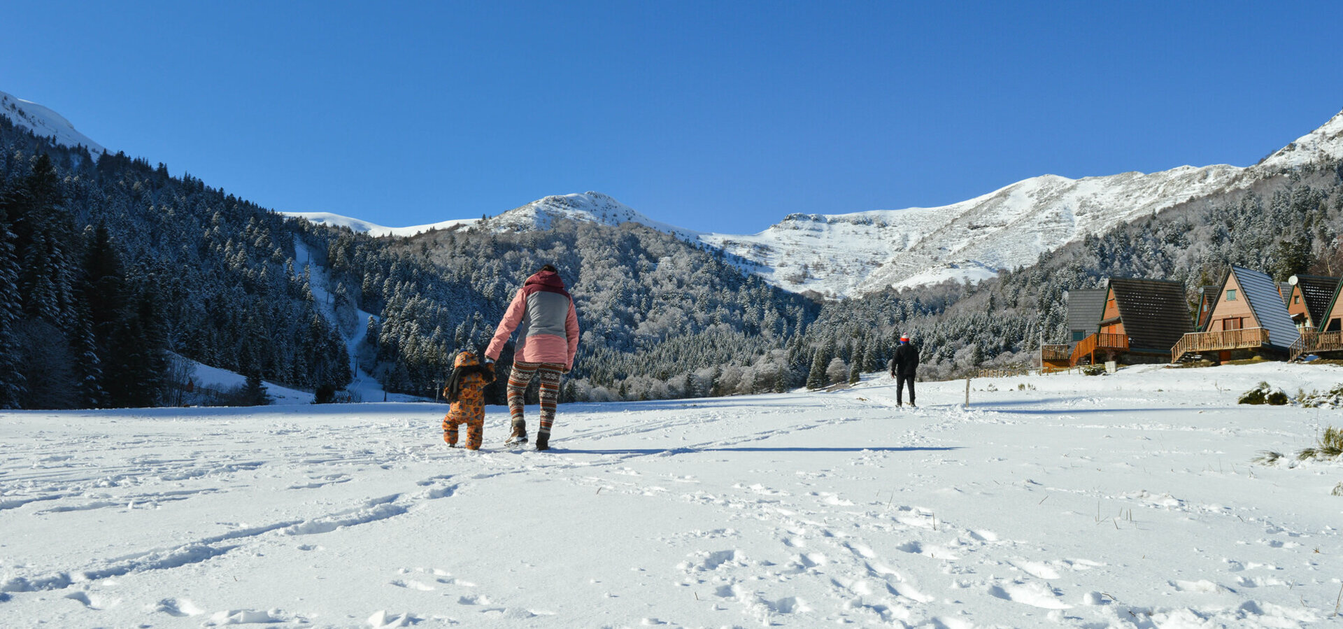 Laveissière (Cantal)